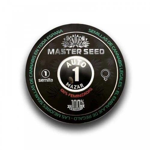 Auto Mazar — автоквітуче фемінізоване насіння з потужним індичним ефектом
